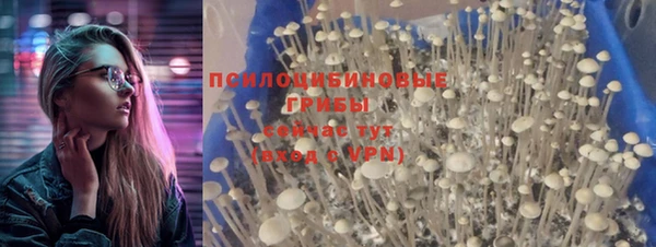 прущий лед Пролетарск
