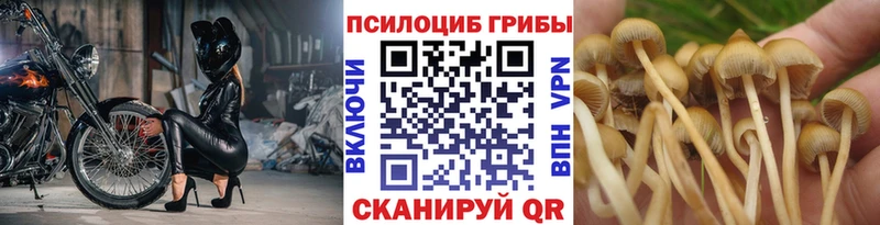 Галлюциногенные грибы Psilocybine cubensis  Шали 